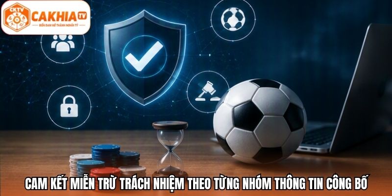 Cam kết miễn trừ trách nhiệm theo từng nhóm thông tin công bố
